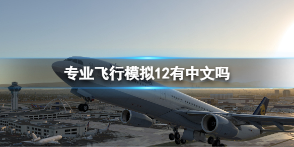 专业飞行模拟12有中文吗 专业飞行模拟12游戏支持语言介绍